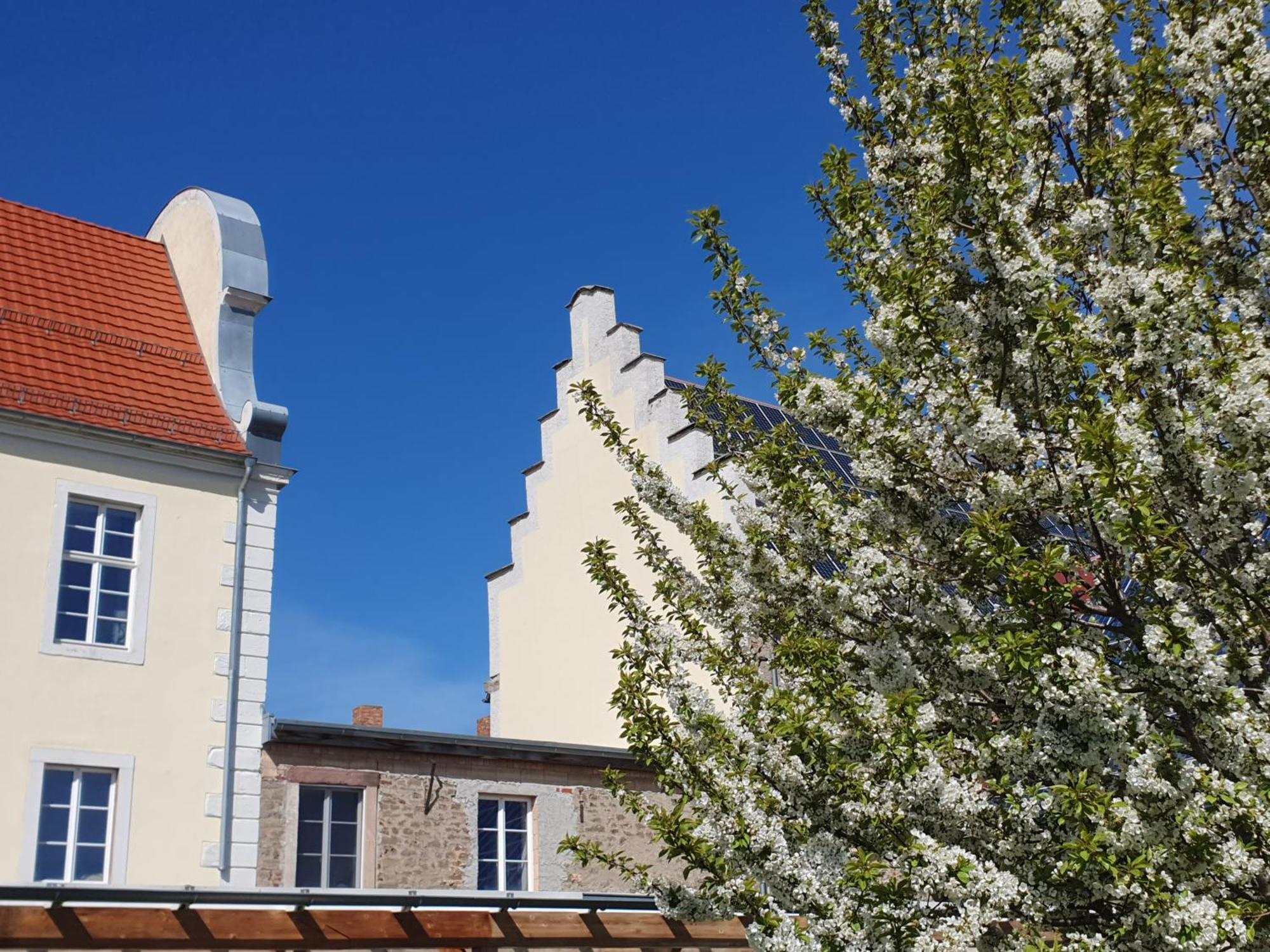 Sonnenschloss Walbeck  Exterior photo